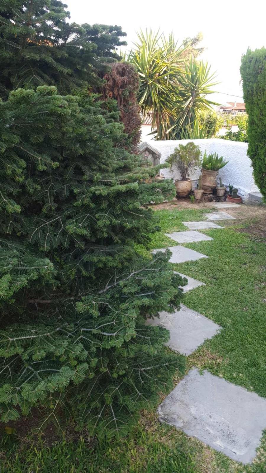 Garden House Villa Amarynthos Dış mekan fotoğraf